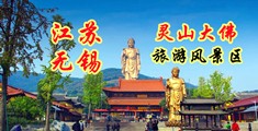 www欧美胖交江苏无锡灵山大佛旅游风景区